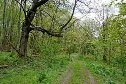 Místo, kde vesnice stávala