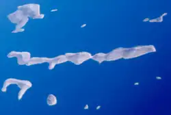 Letecký pohled na ostrov Kurba Vela