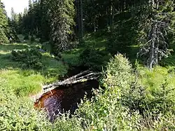 Velké kusy mrtvého dřeva v toku Kvildského potoka v mrazové kotlině poblíž meteorologické stanice Perla na Šumavě