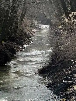 Kyjovka u boršovských luk v Kyjově