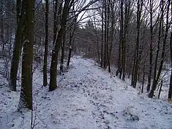 Lánská koněspřežka (07).jpg