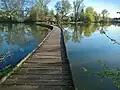 Dřevěná lávka vedoucí přes Vestecký rybník