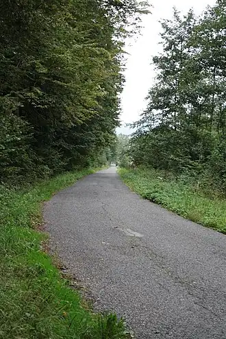 Silnice před Lázněmi Libverdou