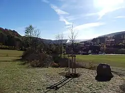 Lípa svobody ve Stárkově