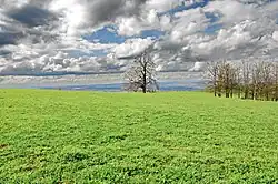 Pamětník osady – památný strom Lípa na Paseckém vrchu