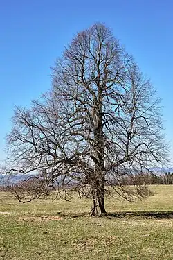 začátek dubna 2025