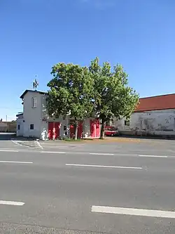 lípy svobody u hasičské zbrojnice