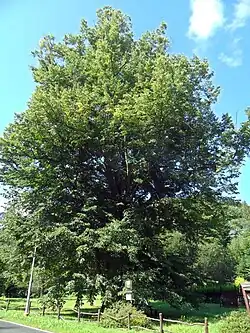 Celkový pohled (2024)