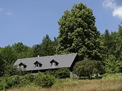 Památná lípa u domu čp. 158 v osadě Novina