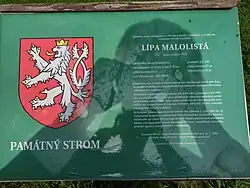 Informační panel u stromu