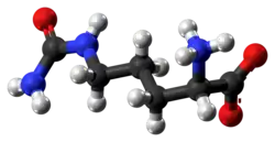 Model molekuly v amfiontové podobě