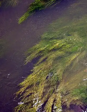 alternativní popis obrázku chybí