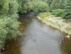 Labe jižně od Prosečného, poblíž přítoku Malého Labe