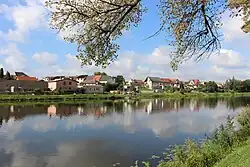 Pohled na Jiřice z protějšího břehu Labe