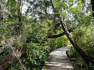 Národní park Chiloé