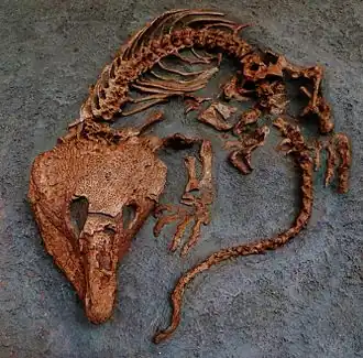 alternativní popis obrázku chybí