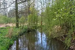 Labský náhon u Plačic