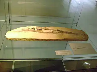 alternativní popis obrázku chybí