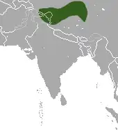 Areál rozšíření