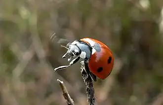 alternativní popis obrázku chybí