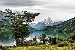 Pohled na Lago del Desierto, v pozadí Cerro Chaltén