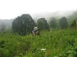 Přísná přírodní rezervace Lagodechi