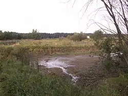 vypuštěné tůně v PP Laguna u Bohdalova