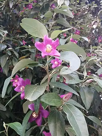 alternativní popis obrázku chybí