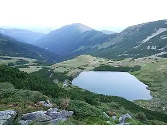 pleso Lala Mare