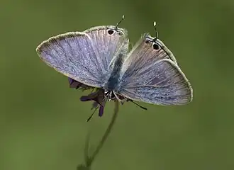 alternativní popis obrázku chybí