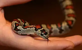 alternativní popis obrázku chybí