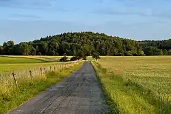 Lanův kopec, nejvyšší vrchol na území obory