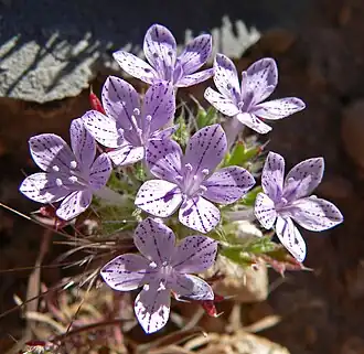 alternativní popis obrázku chybí