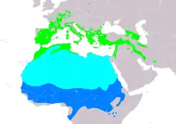 Rozšíření ťuhýka rudohlavého