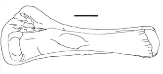 alternativní popis obrázku chybí