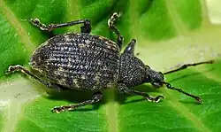 alternativní popis obrázku chybí