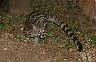 alternativní popis obrázku chybí