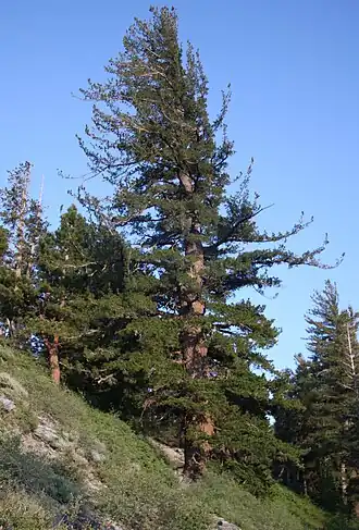 alternativní popis obrázku chybí