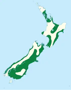 Areál rozšíření