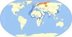 Areál rozšíření