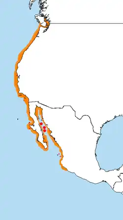 Areál rozšíření