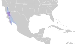 Areál rozšíření