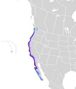 Areál rozšíření