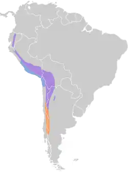 Areál rozšíření