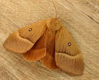 alternativní popis obrázku chybí