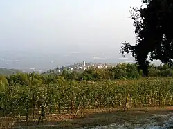 Vinice v údolí Valpolicella