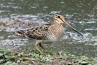 alternativní popis obrázku chybí