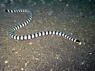 alternativní popis obrázku chybí