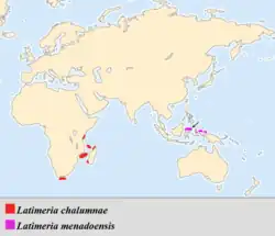 Areál rozšíření