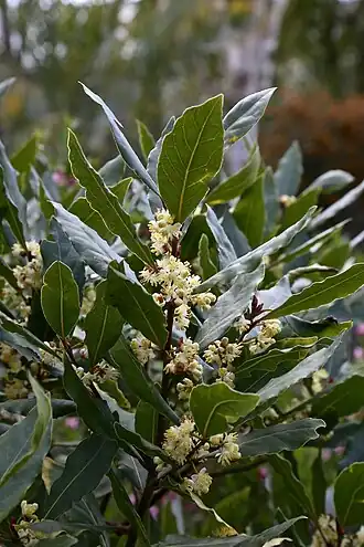 alternativní popis obrázku chybí